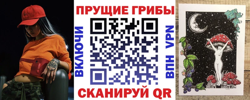 Галлюциногенные грибы Cubensis  где продают наркотики  Будённовск 