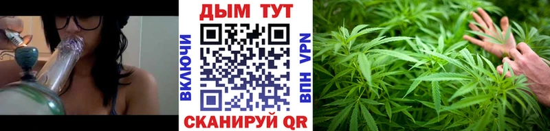 где найти наркотики  Будённовск  Каннабис SATIVA & INDICA 